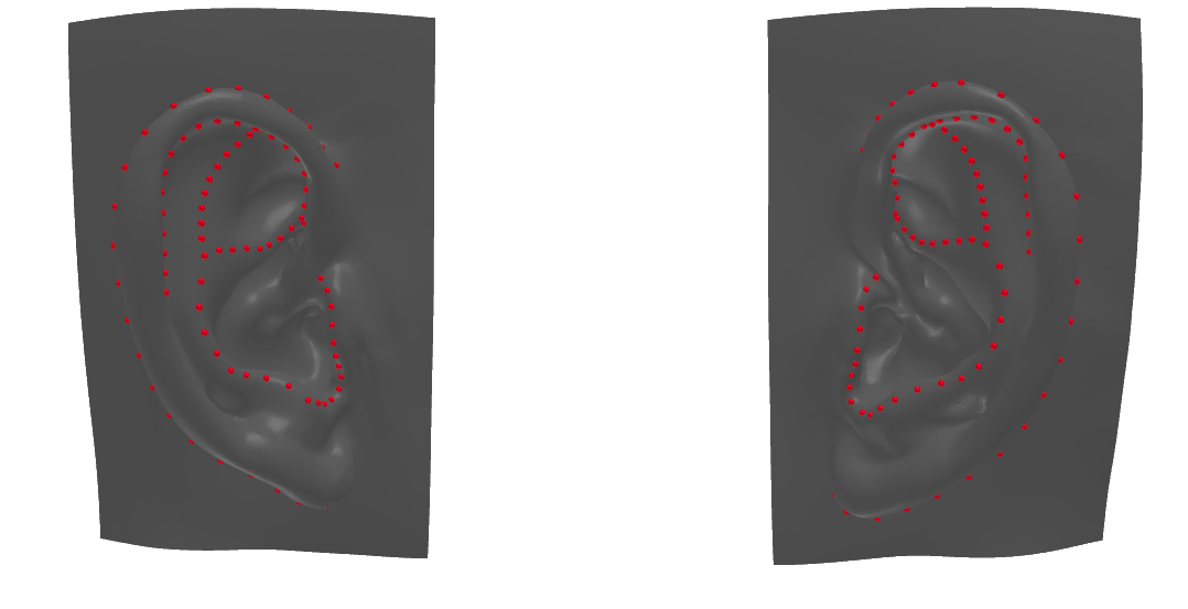 Ear Landmark Detection